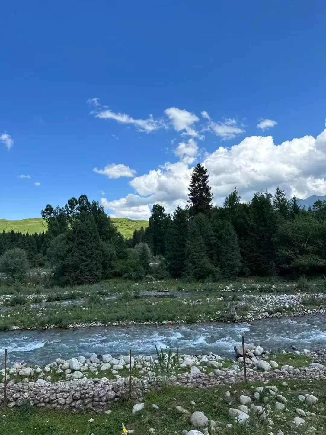 阿拉尔旅游定制
